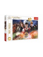 Puzzle Tajemství Harry Potter 300dílků 60x40cm v krabici 40x27x4cm